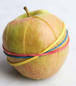 Sliced apple held together with elastic bands
