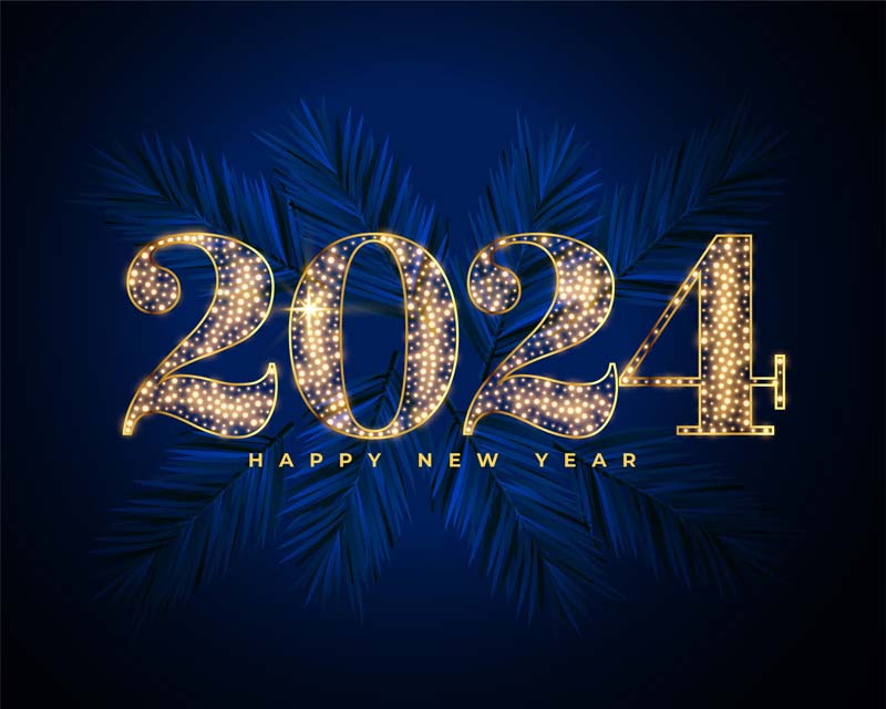 Medfood - Make 2024 your best year ever 006
